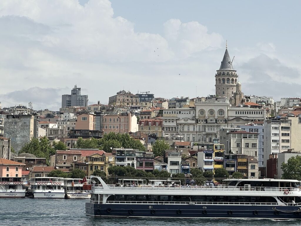 トルコ　イスタンブール　ボスポラス海峡　クルーズ　観光