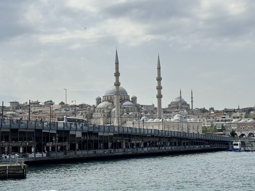 トルコ　イスタンブール　ボスポラス海峡　クルーズ　観光